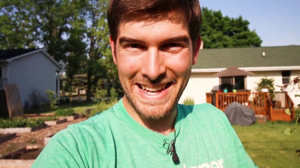 How We Keep Creeping Charlie Under Control Organically In Our Garden