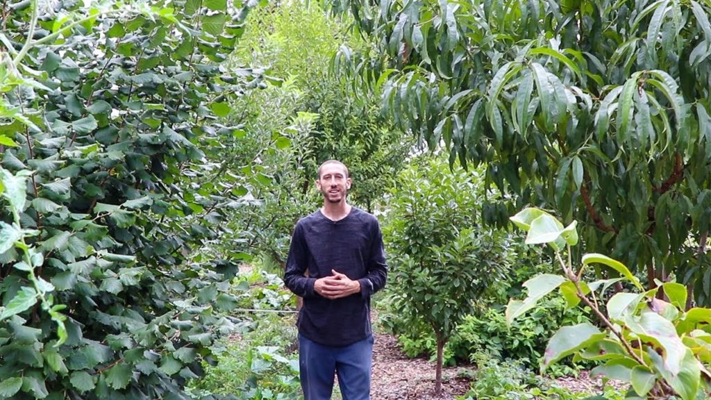 Sustainable Food Forest, Botanical Gardening