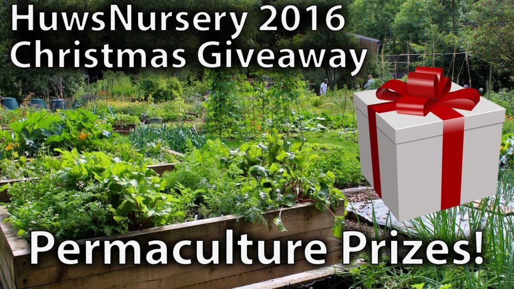 2016 Christmas Giveaway! (Closed)