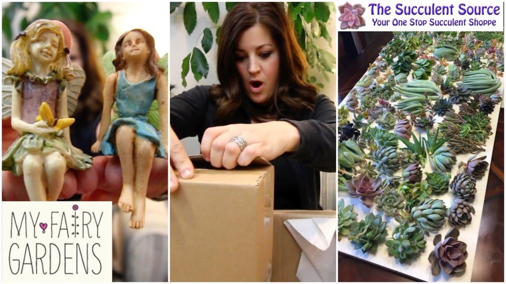 Mail Time: Fairies and Succulents
