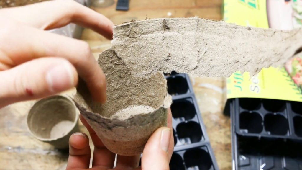 The Beginner's Kit to Mastering Seed Starting - Paper vs. Plastic Containers