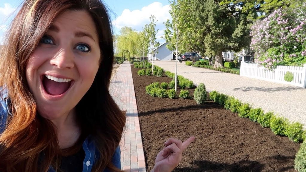 Sprinter Boxwood Hedge Part 3: Trimming & Mulching! 🙌😍// Garden Answer
