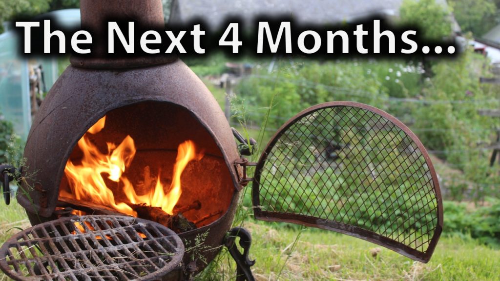 The Next 4 Months...