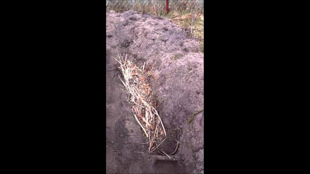 Garden update, Hugelkultur bed update