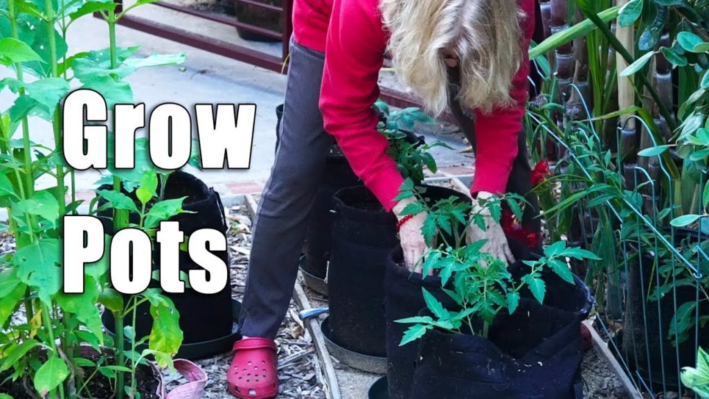 Memorial Day Shoutout | Garden Images | Planting Tomatoes