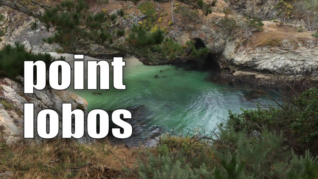 CALIFORNIA COAST | Point Lobos State Reserve | China Beach