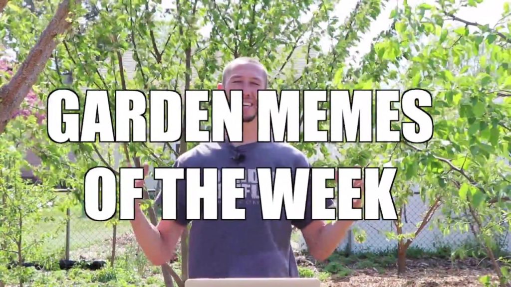 Garden MEMES of the Week!