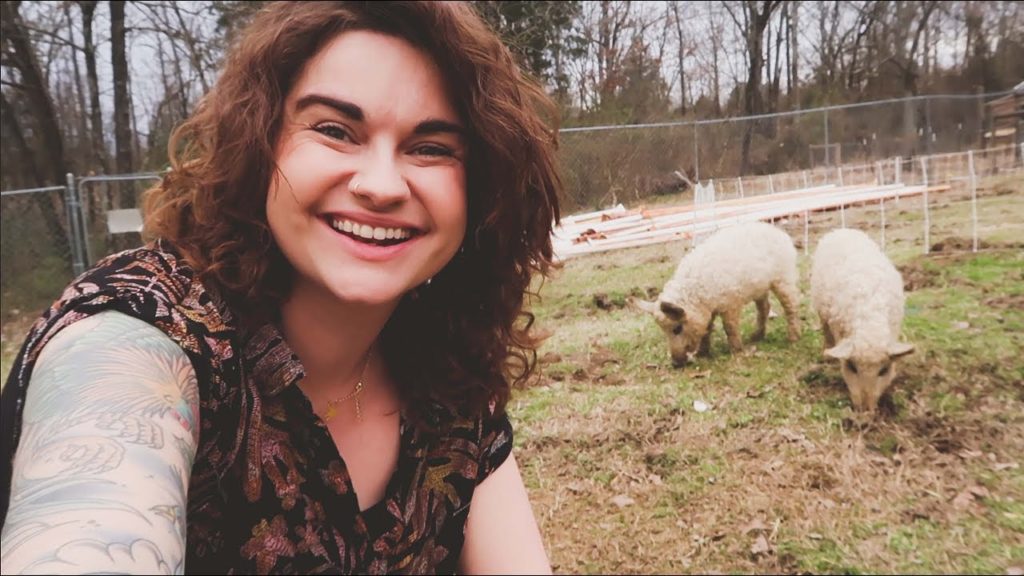 Curly Pigs and Too Many Tomato Plants | VLOG | Roots and Refuge