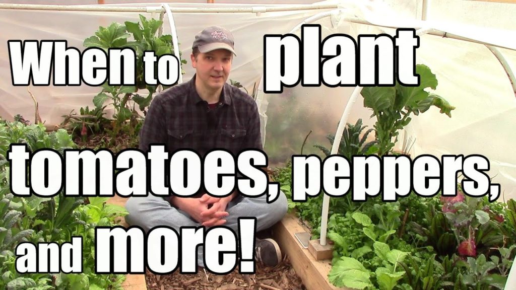 When to Start Tomatoes & Peppers and 5 Crops to Start Outside B4 the Last Frost (3/12 - Zone 5)