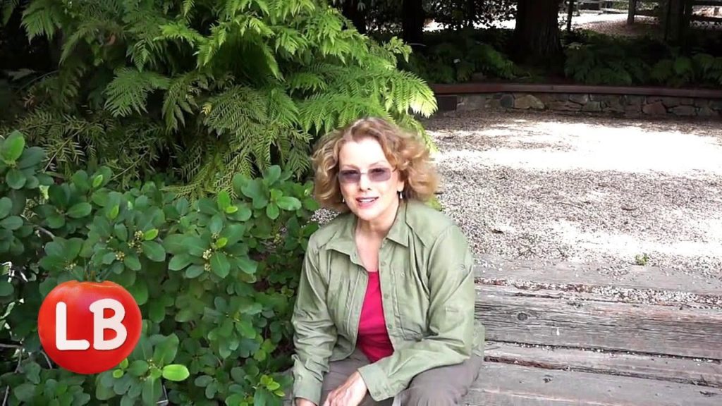 Woodside Native Plant Garden | Late Bloomer | Episode 14
