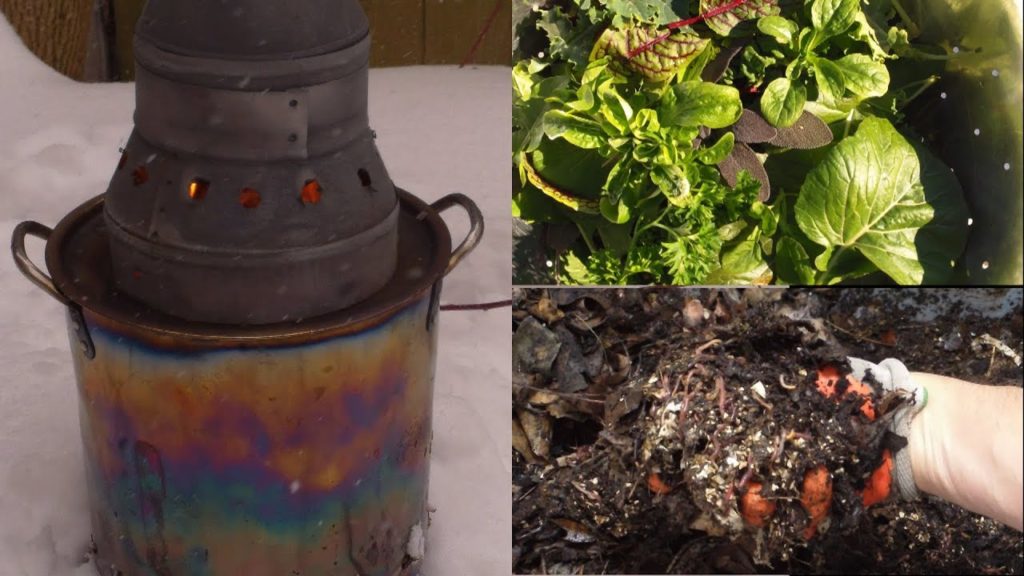 How I Get My Gardening Fix in the Winter