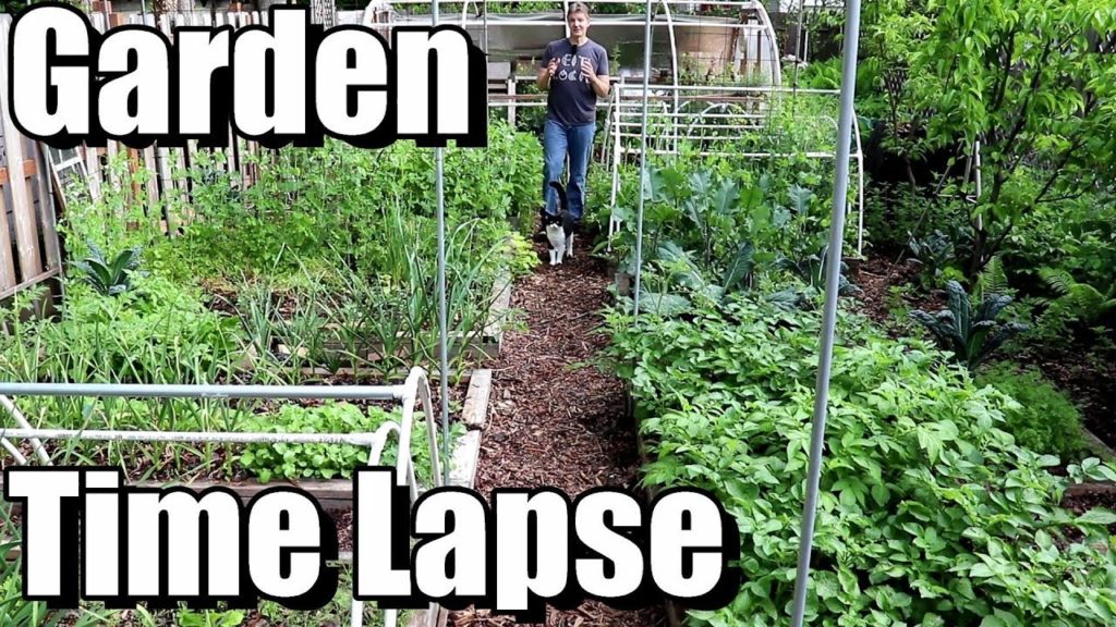 Amazing Garden Transformation in May! (Garden Time Lapse)