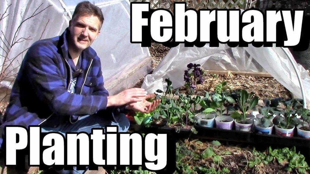 Planting Outside in February &  Free Spring Planting Calendar!