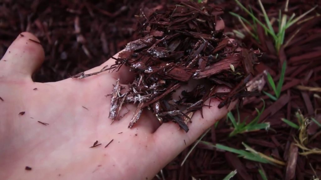 MIgardener: 75% of Your Garden’s Nutrients Come From This But Only If It's Organic! 75% of Your Garden’s Nutrients Come From This But Only If It's Organic!