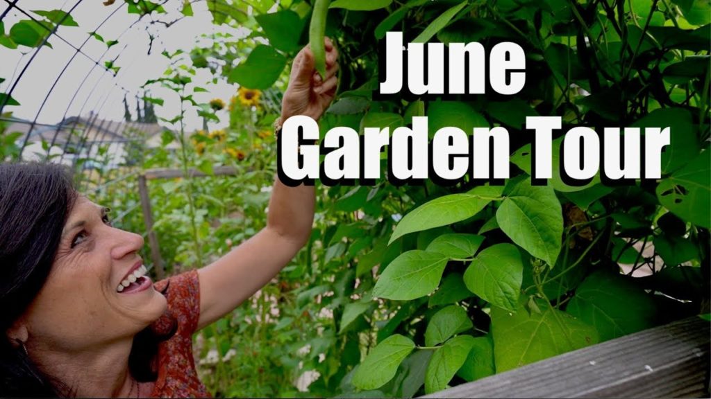 June Garden Tour - Out with the Old, In with the New - Summer’s just Getting Started in the Garden!