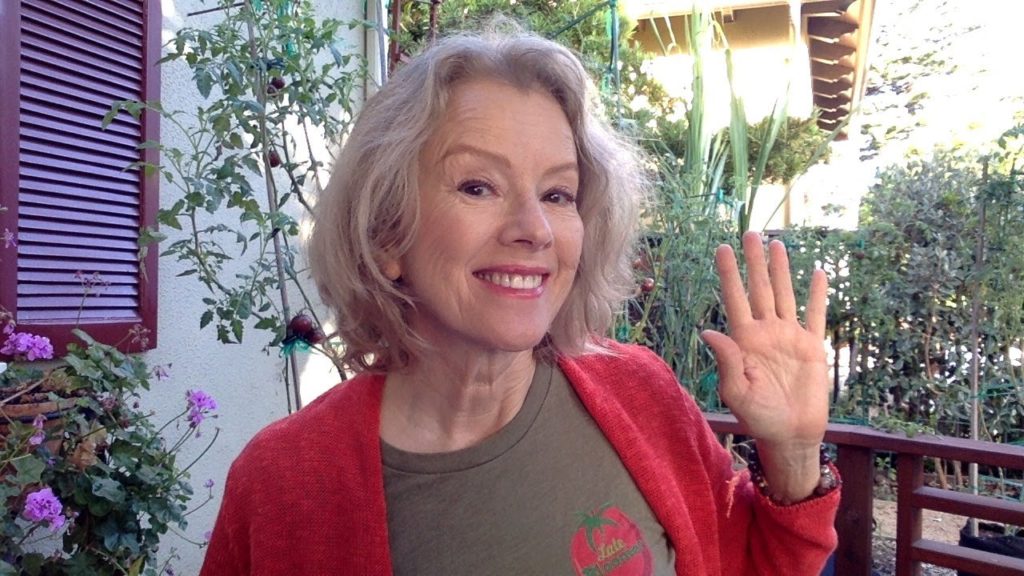 September 8th Livestream! The Transition Begins!