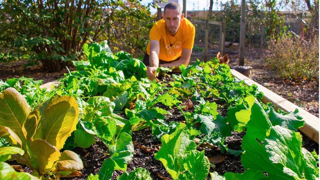 10 Cold Hardy Veggies You can Grow in Your Garden through the Winter