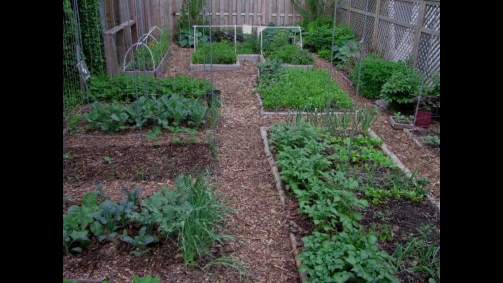 The OYR Garden in Pictures - May 2013