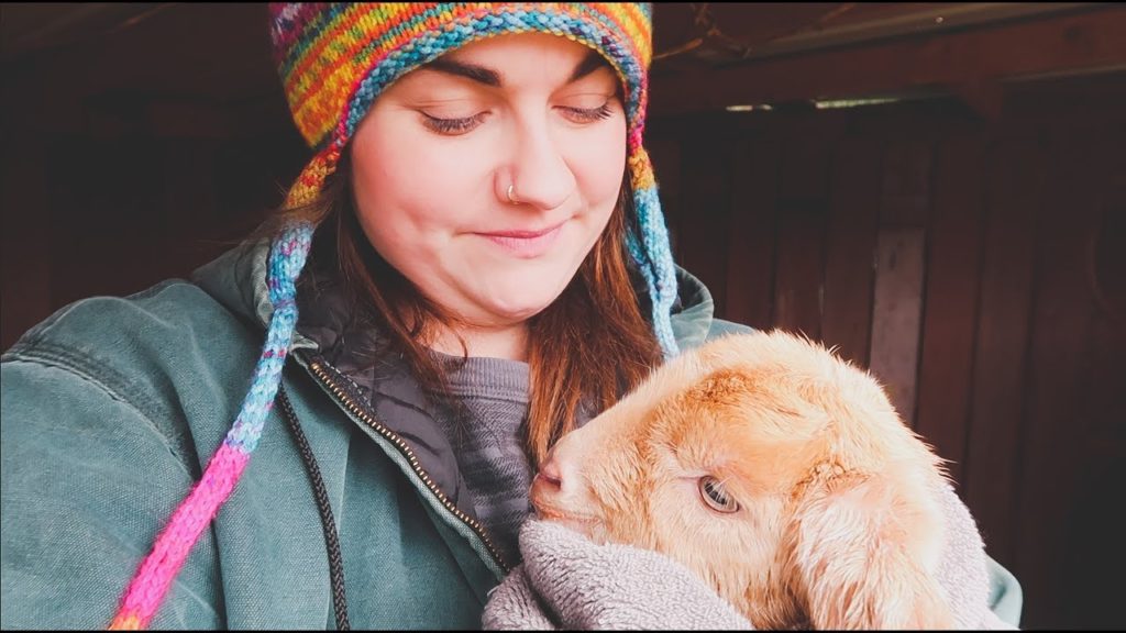 Roots and Refuge Farm: Did I Finally Get a GIRL? | MORE New Baby Goats – Cuteness Overload | Roots and Refuge Did I Finally Get a GIRL? | MORE New Baby Goats - Cuteness Overload | Roots and Refuge