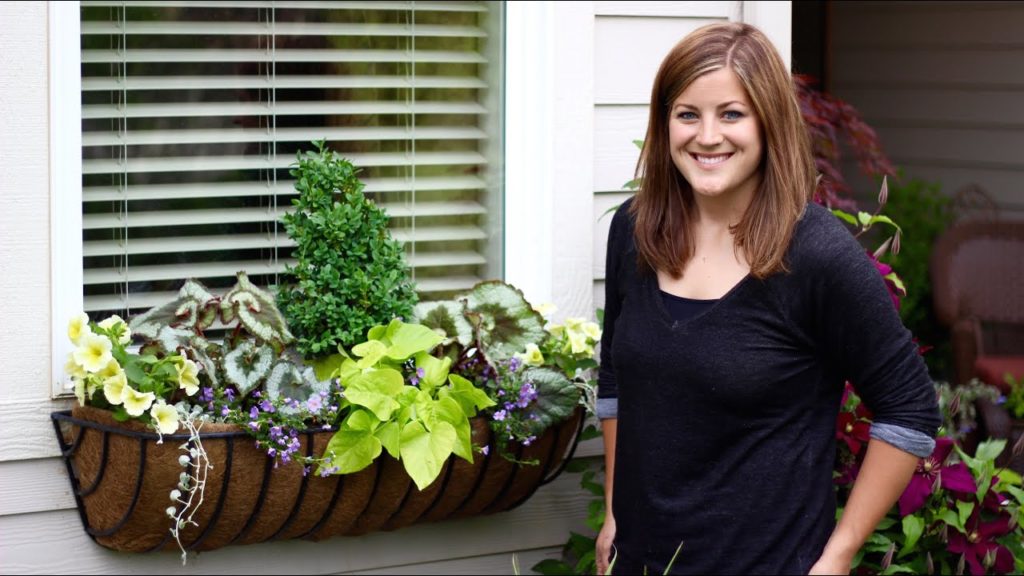 Window Basket Shade Planter