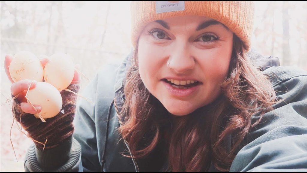 Roots and Refuge Farm: The Doe Code (And a Basement Update) | VLOG | Roots and Refuge The Doe Code (And a Basement Update) | VLOG | Roots and Refuge