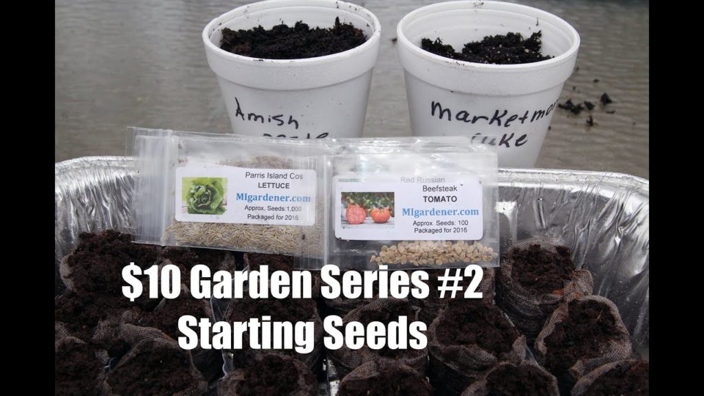 CaliKim: The $10 Garden Series #2- How to Start Seeds Indoors The $10 Garden Series #2- How to Start Seeds Indoors
