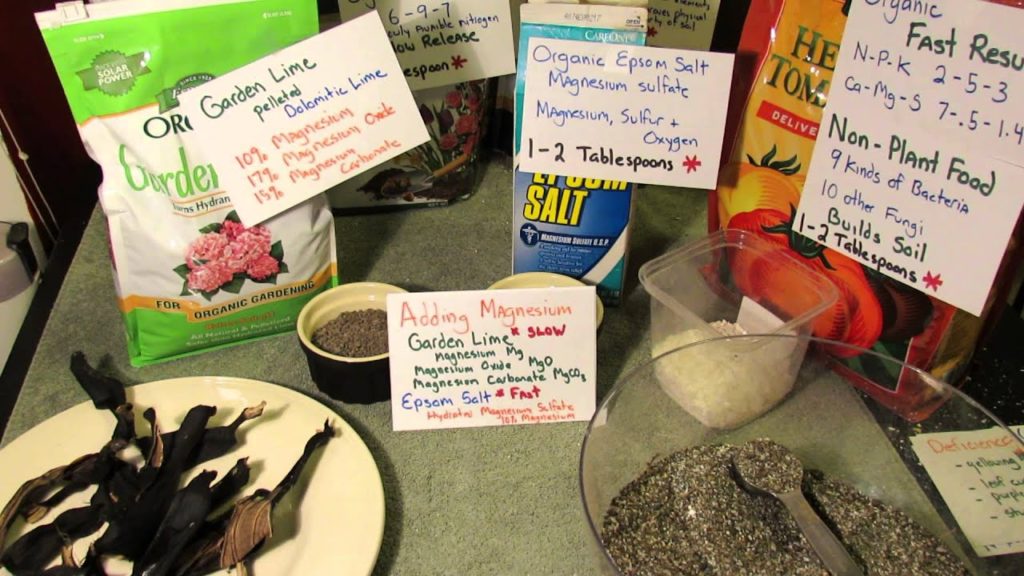 Gary Pilarchik: Understanding Garden Magnesium: Slow Release Garden Lime & Fast Release Epsom Salts – TRG 2014 Understanding Garden Magnesium: Slow Release Garden Lime & Fast Release Epsom Salts - TRG 2014