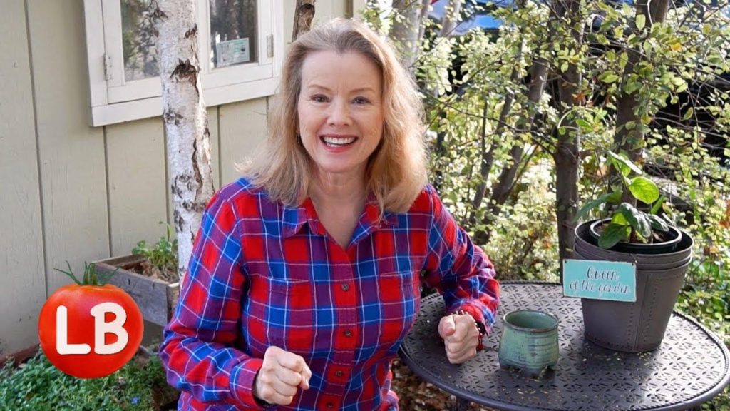 Thursday Workday | NOVEMBER HARVEST, OLLAS, PLANTING, GRASSHOPPERS | Vlog