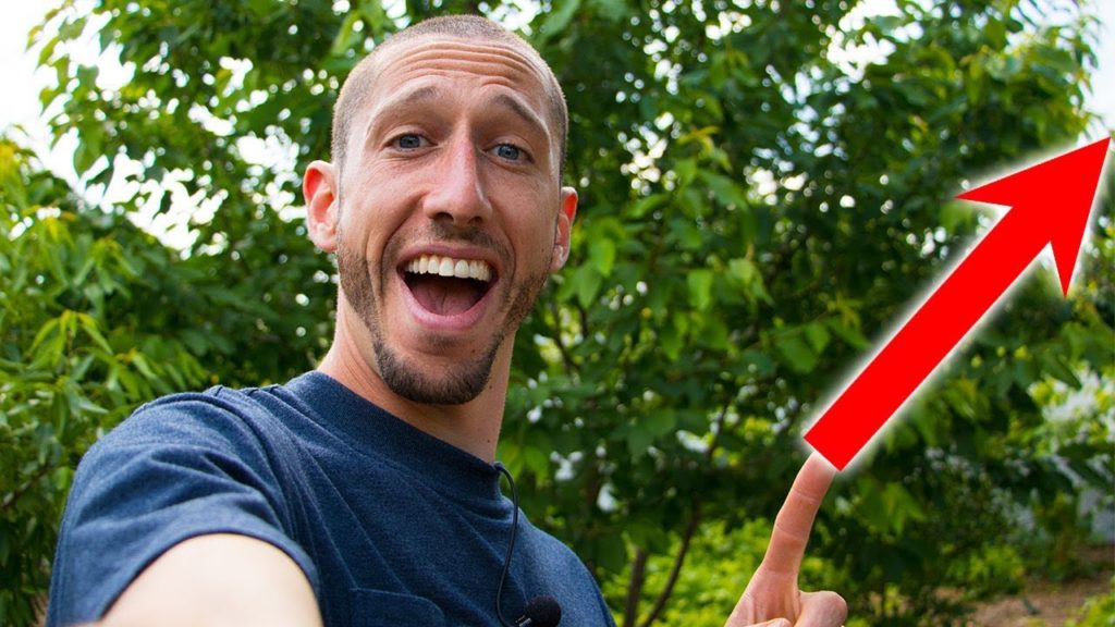 James Prigioni: How I Grow Food How I Grow Food