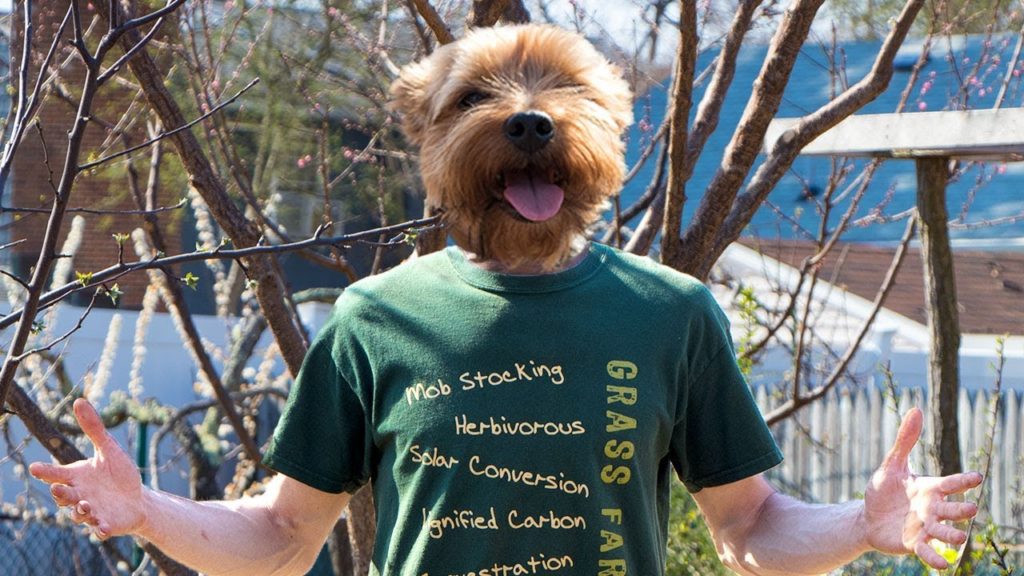 what am i growing in my backyard?