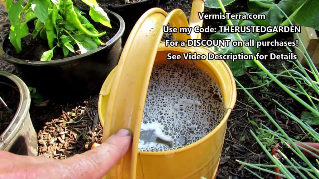 General Care for A Sunken Container Pepper/Vegetable Garden: Insoluble & Soluble Fertilizing & More