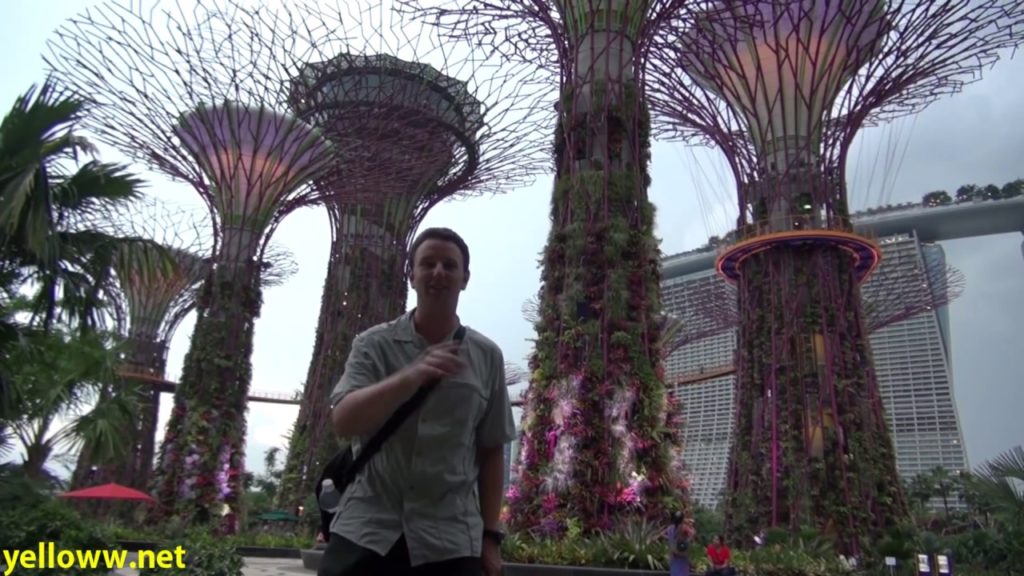 Singapore Gardens by the Bay Travel Guide