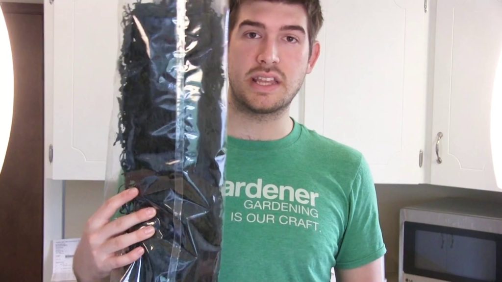 How to Make Seaweed Fertilizer at Home! Cheap Easy & Organic!