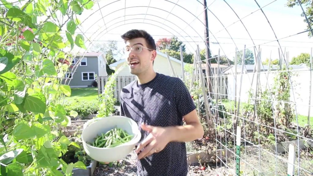 Gardening Expectation Vs. Reality