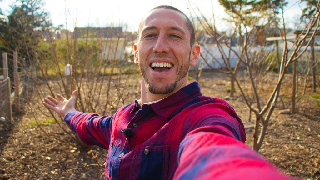 Is A Food Forest WORTH IT?