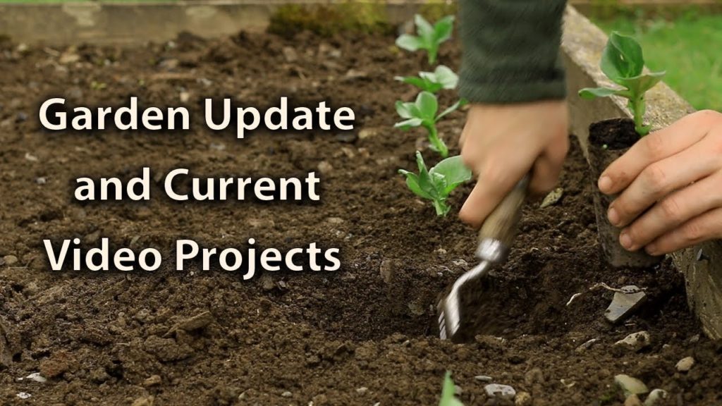Huw Richards: Growing Update + Weekly Videos are Coming Back! Growing Update + Weekly Videos are Coming Back!