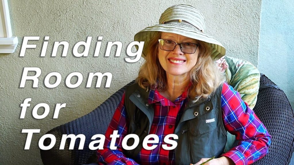 Thursday Workday | Planting Tomatoes and Comfrey, Resetting Olla | Vlog