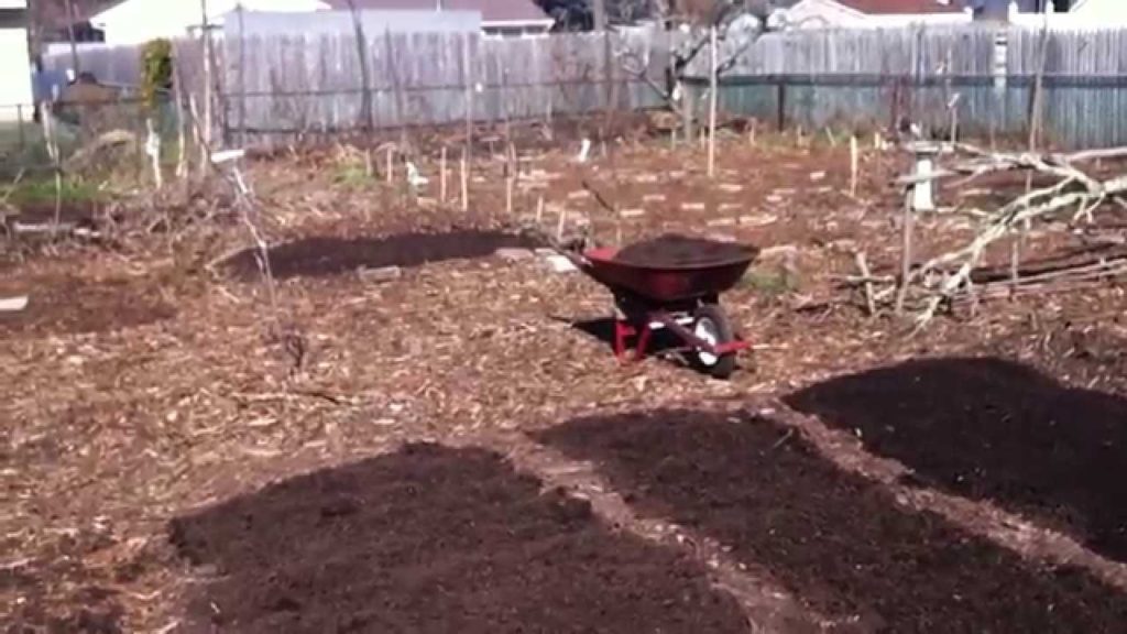 Sowing Tomatoes