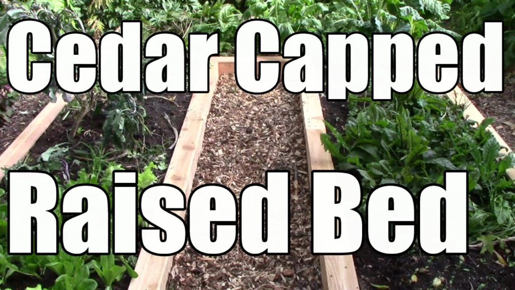 Extending the Life of a Raised Bed by Capping it with Cedar