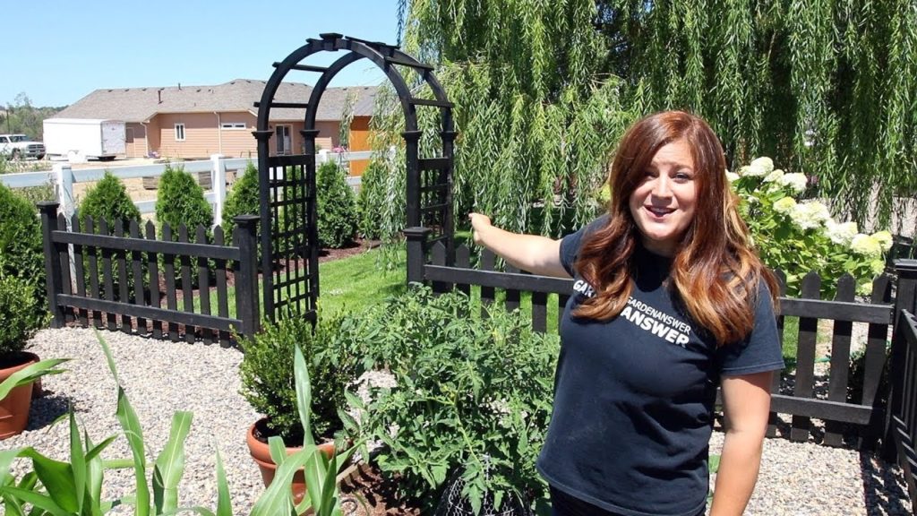 Garden Answer: New Arbors + Climbing Roses 🌸 // Garden Answer New Arbors + Climbing Roses 🌸 // Garden Answer