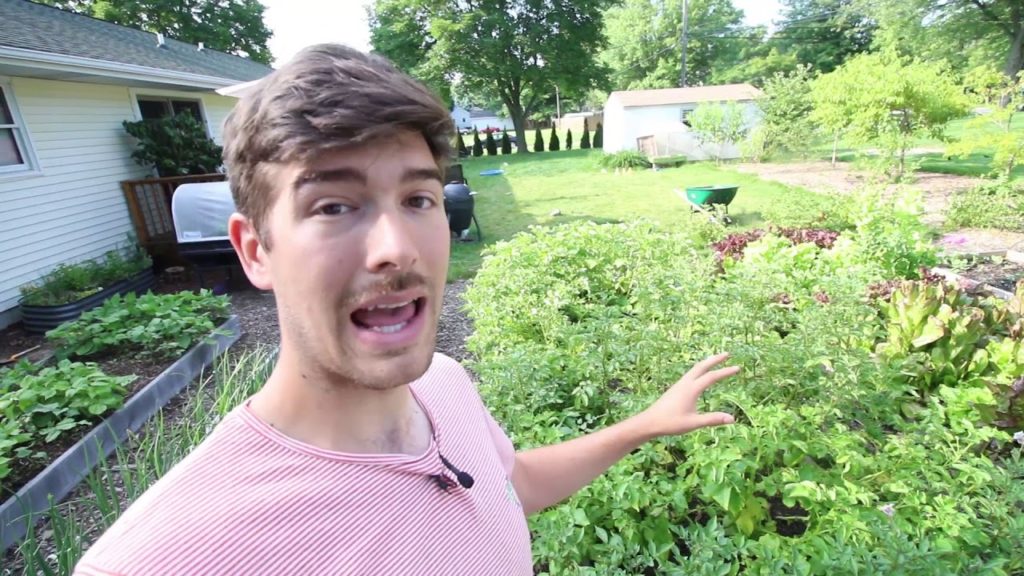 The Garden Went in Super Late But You Can't Even Tell!