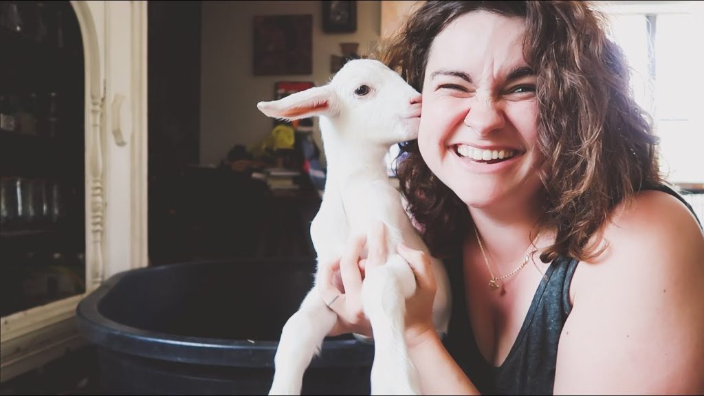A Bad Day for Chickens (And Goat Kisses to Make It Better) | VLOG | Roots and Refuge