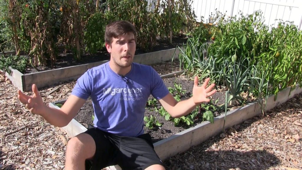 MIgardener: The Importance of Soil Health & Why Healthy Plants Start With Healthy Soil The Importance of Soil Health & Why Healthy Plants Start With Healthy Soil