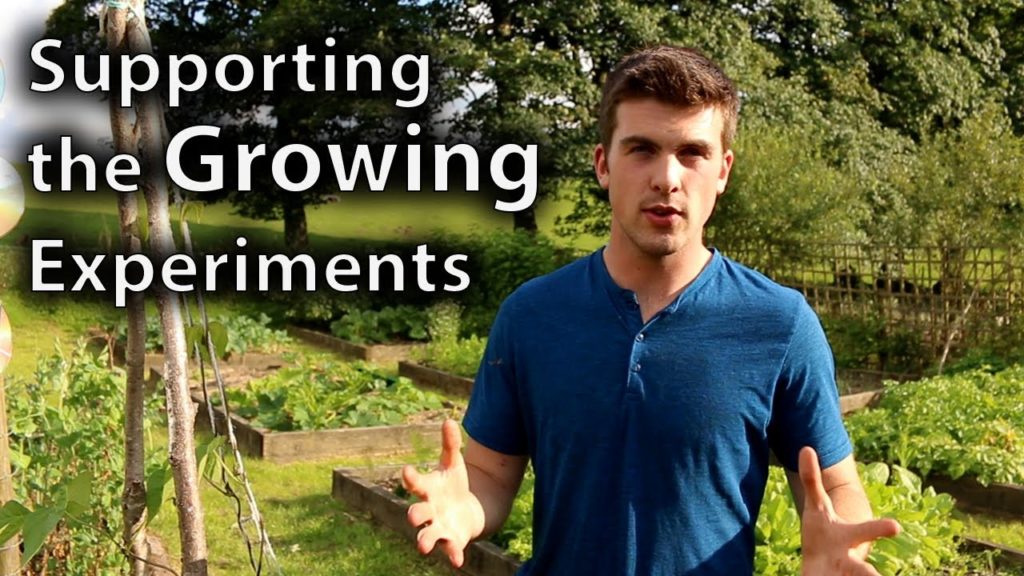 Huw Richards: Get Involved and Support my Growing Experiments and Creations Get Involved and Support my Growing Experiments and Creations