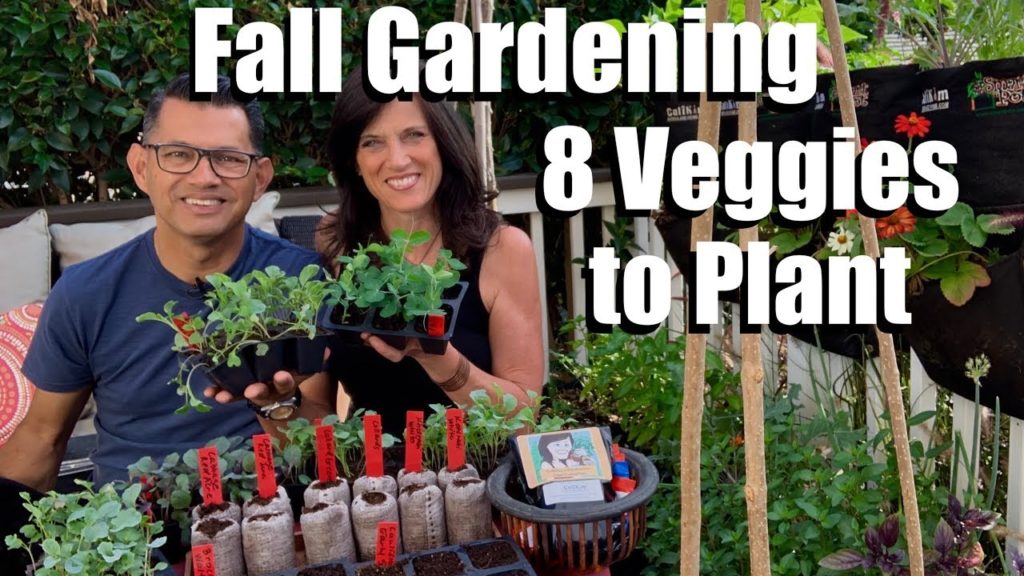 How to Start a Fall Vegetable Garden - 8 Seeds to Plant / Fall Garden Series #1 🍁🥦🍁🌿