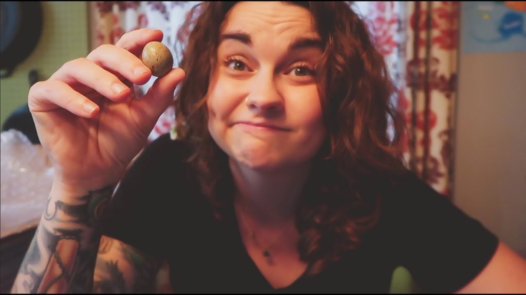 Roots and Refuge Farm: The Tiniest and Cutest Hatching Eggs | VLOG | Roots and Refuge The Tiniest and Cutest Hatching Eggs | VLOG | Roots and Refuge