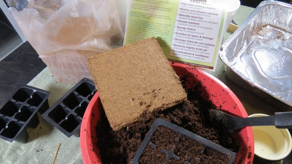 Gary Pilarchik: How to Prepare 250 gram Bricks of Coco Coir for Seed Starting: Inexpensive & Effective – TRG 2015 How to Prepare 250 gram Bricks of Coco Coir for Seed Starting: Inexpensive & Effective - TRG 2015