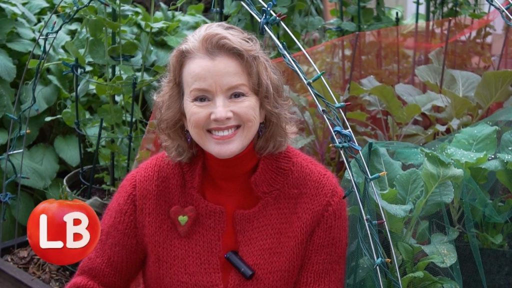 Maximize Sun in a Small Garden, Fans, Valentine Update | Late Bloomer | Episode 18