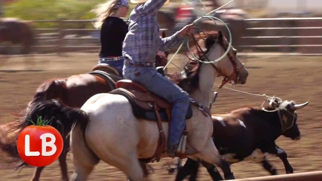 Kaye Kittrell: My Team Roping Memorial | Livermore, CA | Vlog My Team Roping Memorial | Livermore, CA | Vlog