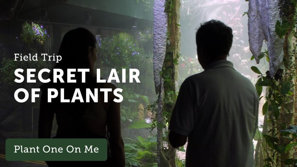 Gardens by the Bay Cloud Forest Dome Tour — 5 of 5 — Ep 102